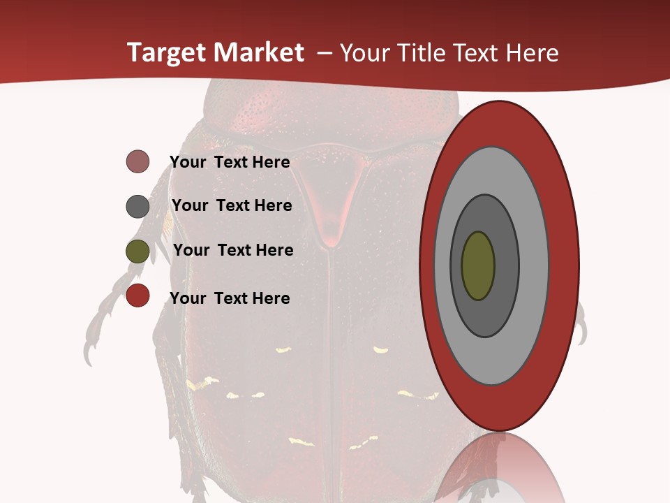 Macro Polished Scarab PowerPoint Template
