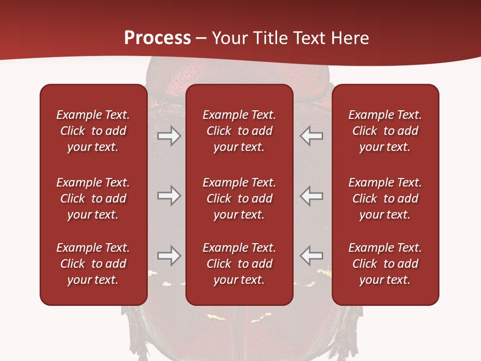 Macro Polished Scarab PowerPoint Template
