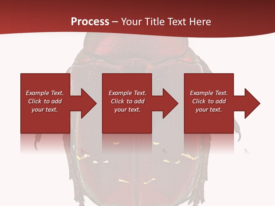 Macro Polished Scarab PowerPoint Template