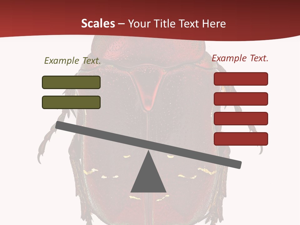 Macro Polished Scarab PowerPoint Template