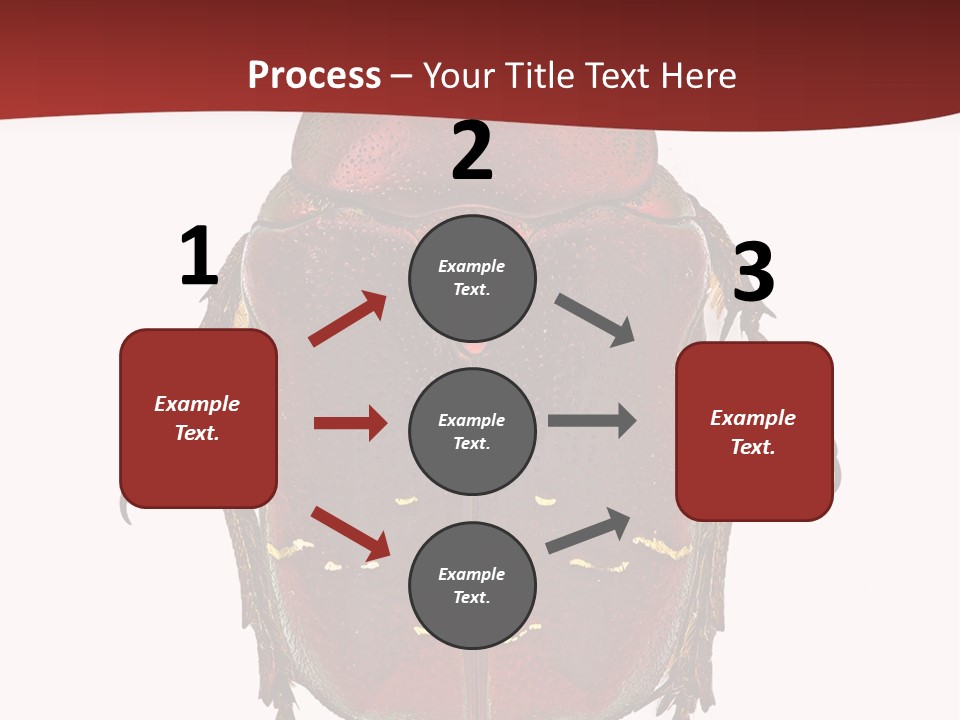 Macro Polished Scarab PowerPoint Template
