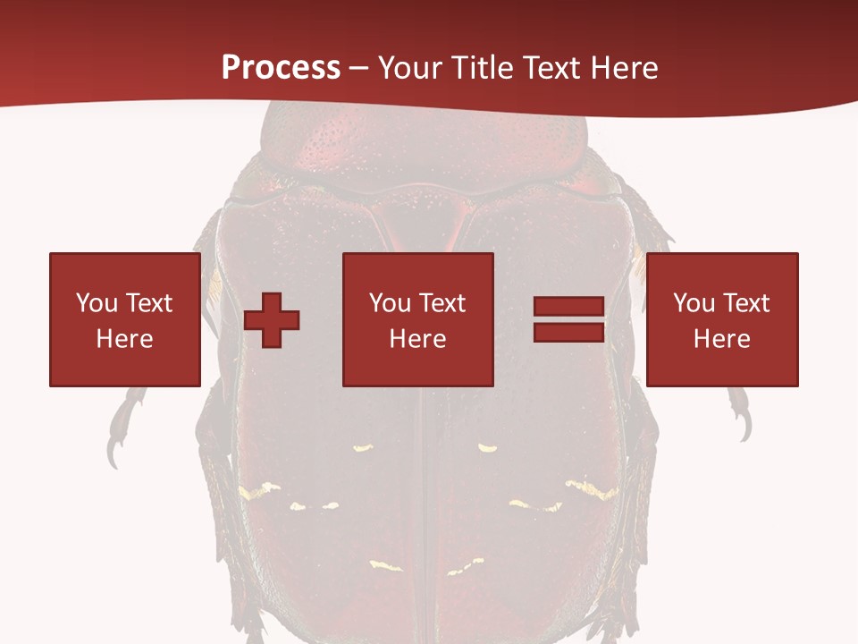 Macro Polished Scarab PowerPoint Template