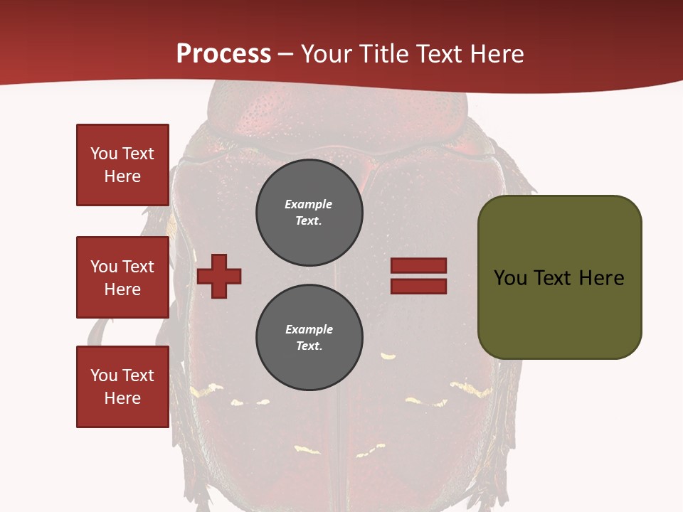 Macro Polished Scarab PowerPoint Template