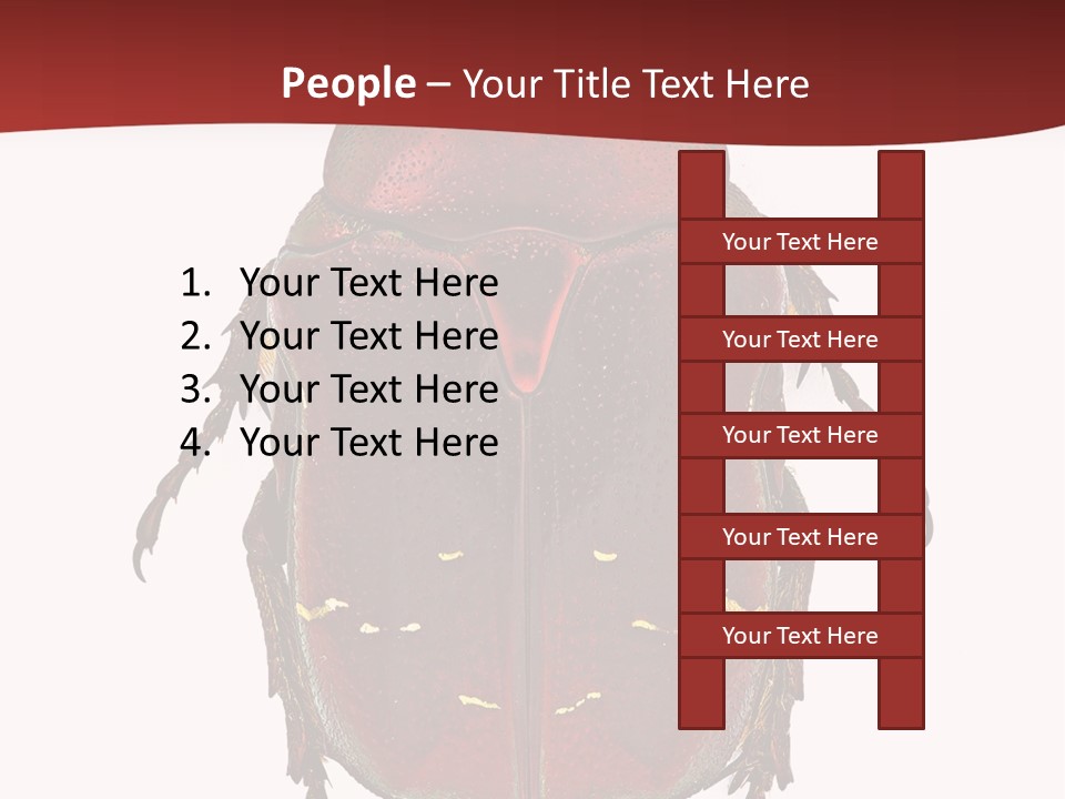 Macro Polished Scarab PowerPoint Template