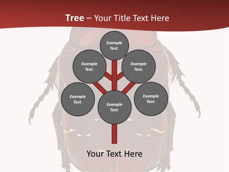 Macro Polished Scarab PowerPoint Template