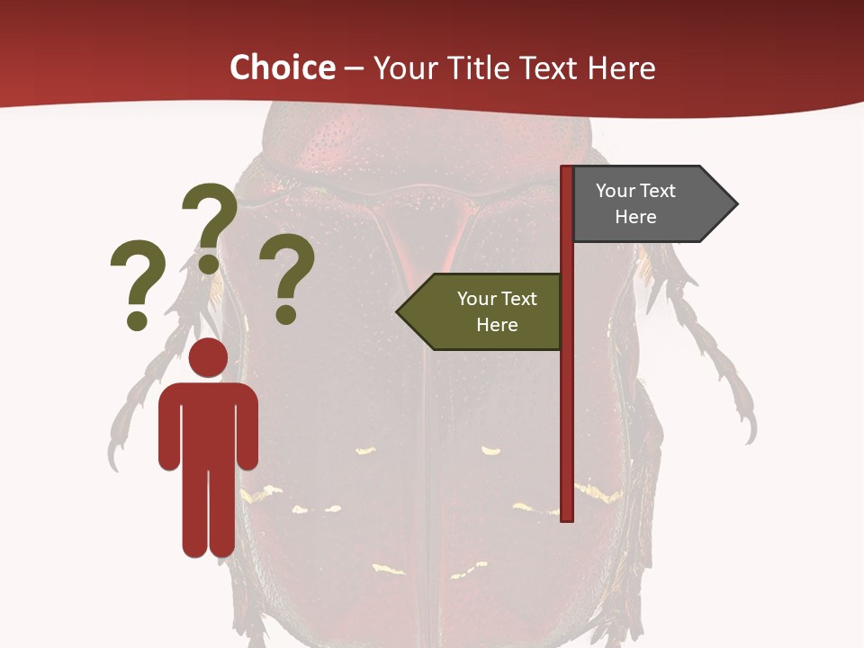 Macro Polished Scarab PowerPoint Template