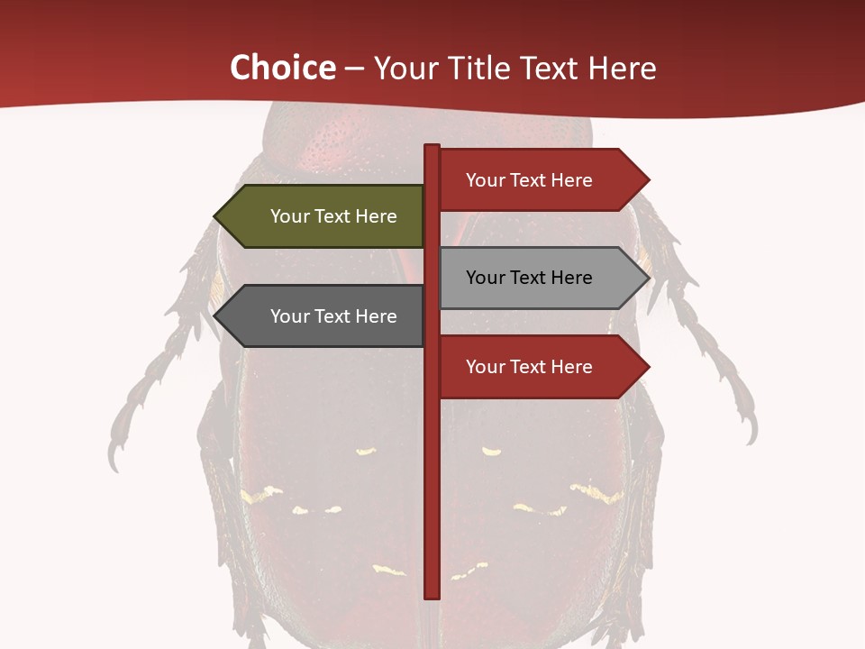 Macro Polished Scarab PowerPoint Template