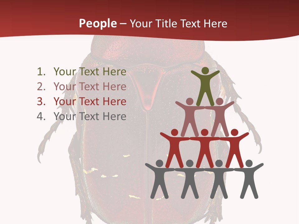 Macro Polished Scarab PowerPoint Template