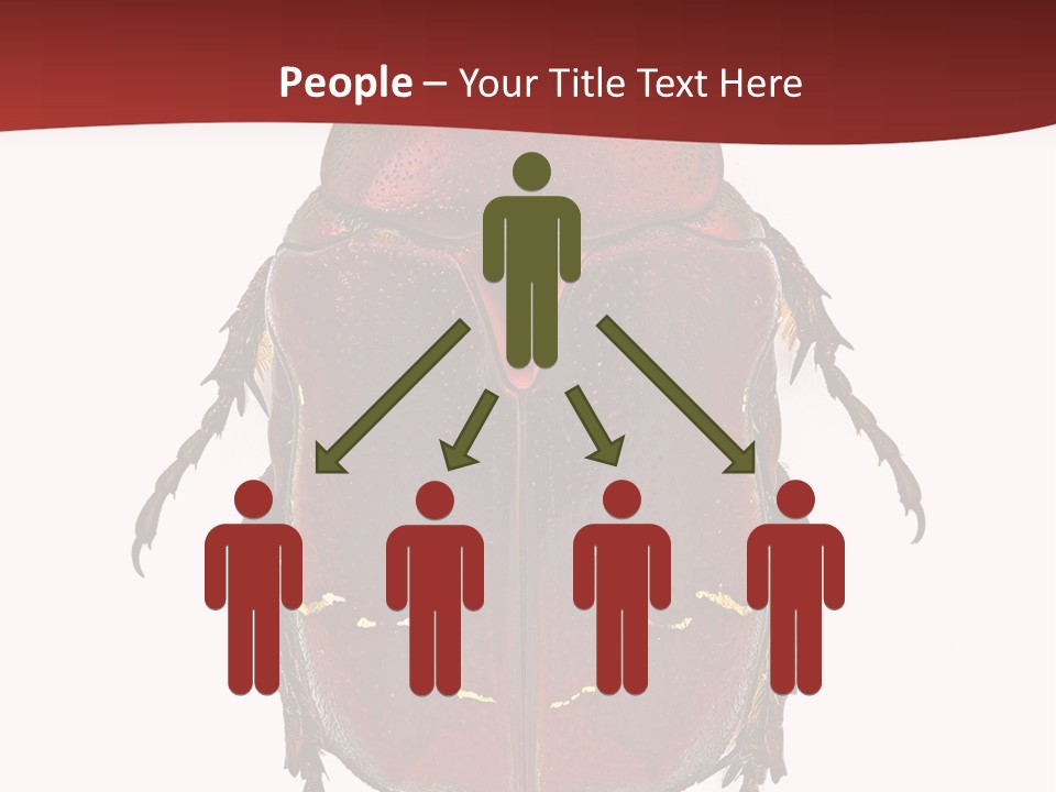 Macro Polished Scarab PowerPoint Template