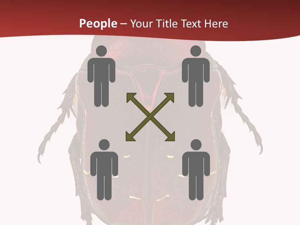 Macro Polished Scarab PowerPoint Template