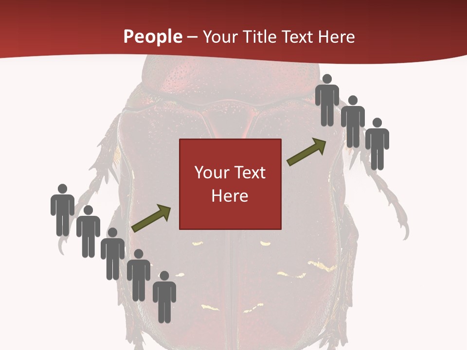 Macro Polished Scarab PowerPoint Template