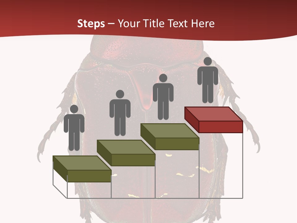 Macro Polished Scarab PowerPoint Template