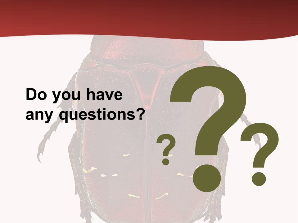 Macro Polished Scarab PowerPoint Template