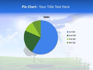 Macro Entomology Shine PowerPoint Template