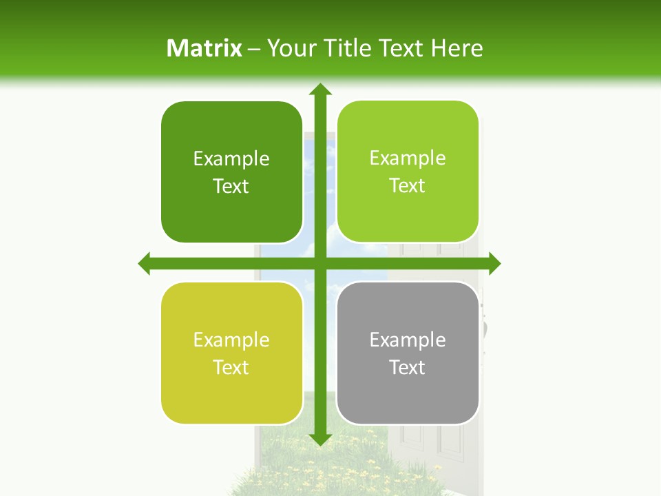 Amazing Cetonia Collection Cetonia Aurata Pisana PowerPoint Template