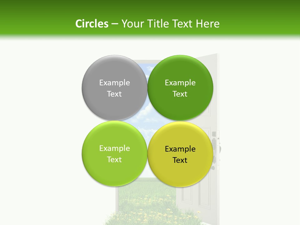 Amazing Cetonia Collection Cetonia Aurata Pisana PowerPoint Template