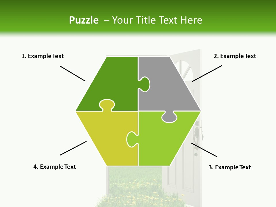 Amazing Cetonia Collection Cetonia Aurata Pisana PowerPoint Template