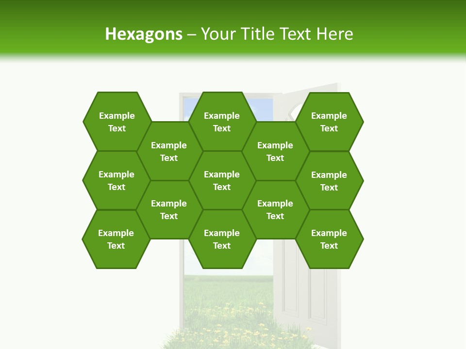 Amazing Cetonia Collection Cetonia Aurata Pisana PowerPoint Template