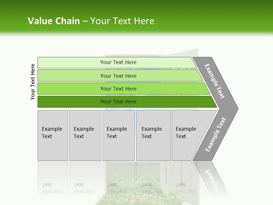 Amazing Cetonia Collection Cetonia Aurata Pisana PowerPoint Template