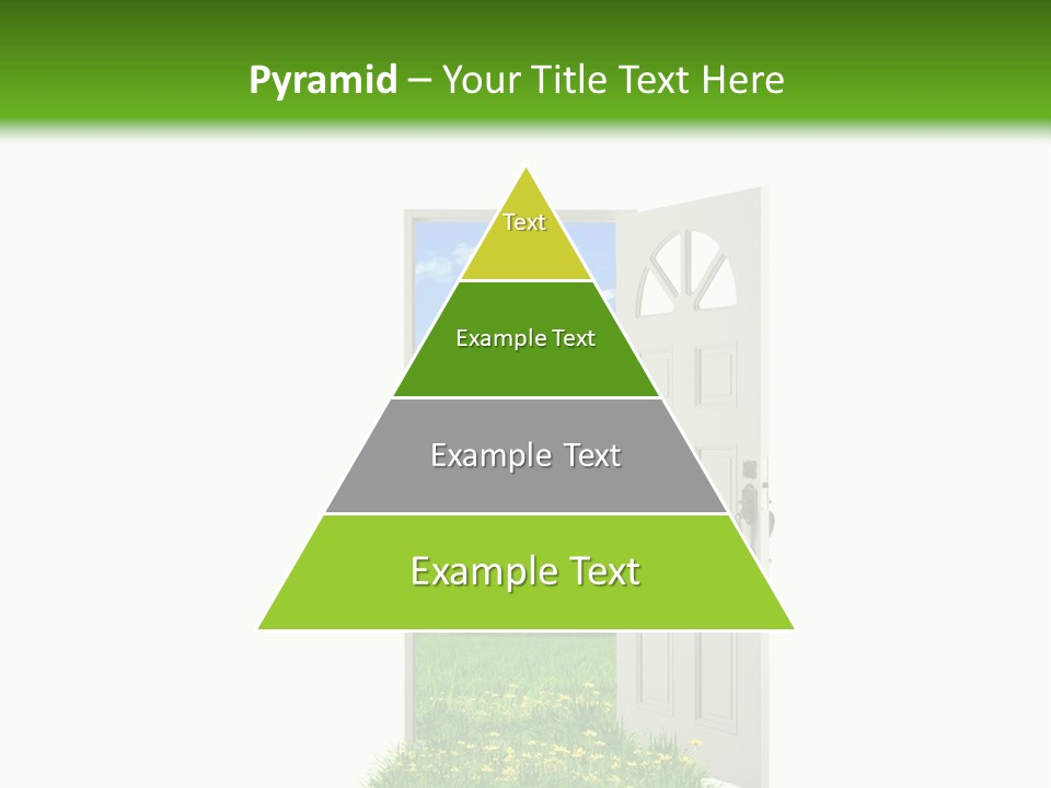 Amazing Cetonia Collection Cetonia Aurata Pisana PowerPoint Template