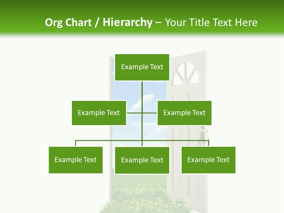 Amazing Cetonia Collection Cetonia Aurata Pisana PowerPoint Template