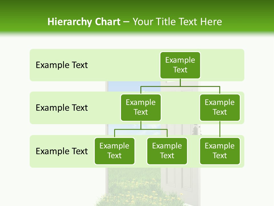 Amazing Cetonia Collection Cetonia Aurata Pisana PowerPoint Template