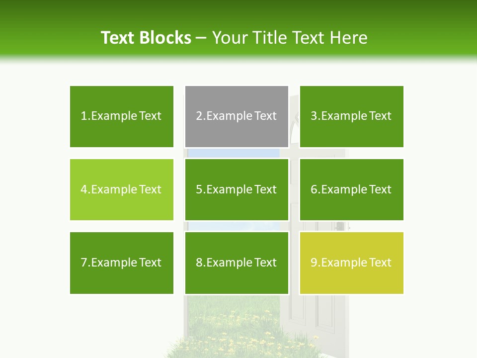 Amazing Cetonia Collection Cetonia Aurata Pisana PowerPoint Template