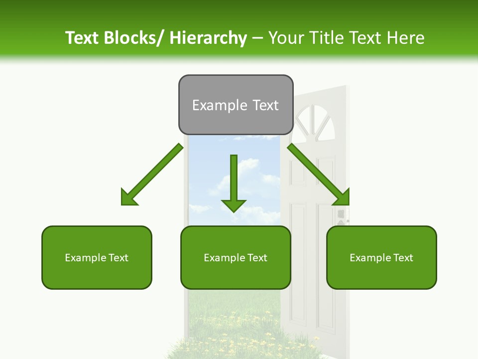 Amazing Cetonia Collection Cetonia Aurata Pisana PowerPoint Template