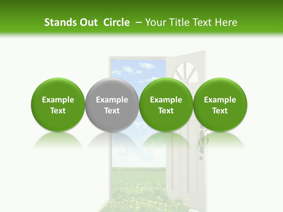 Amazing Cetonia Collection Cetonia Aurata Pisana PowerPoint Template