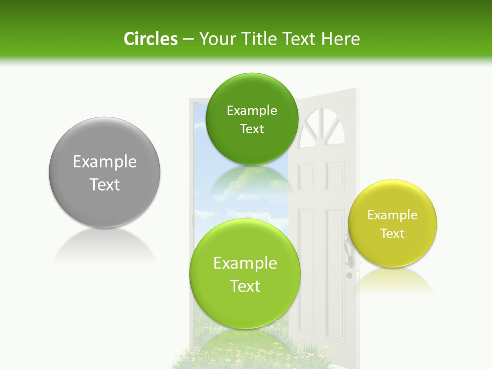 Amazing Cetonia Collection Cetonia Aurata Pisana PowerPoint Template