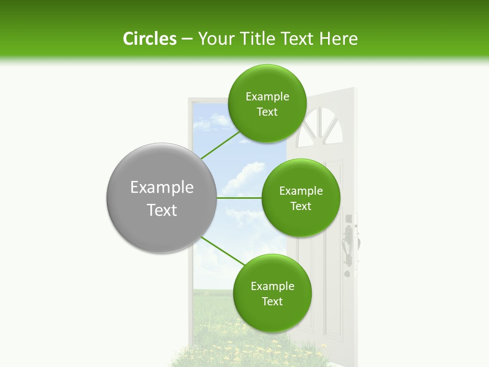 Amazing Cetonia Collection Cetonia Aurata Pisana PowerPoint Template