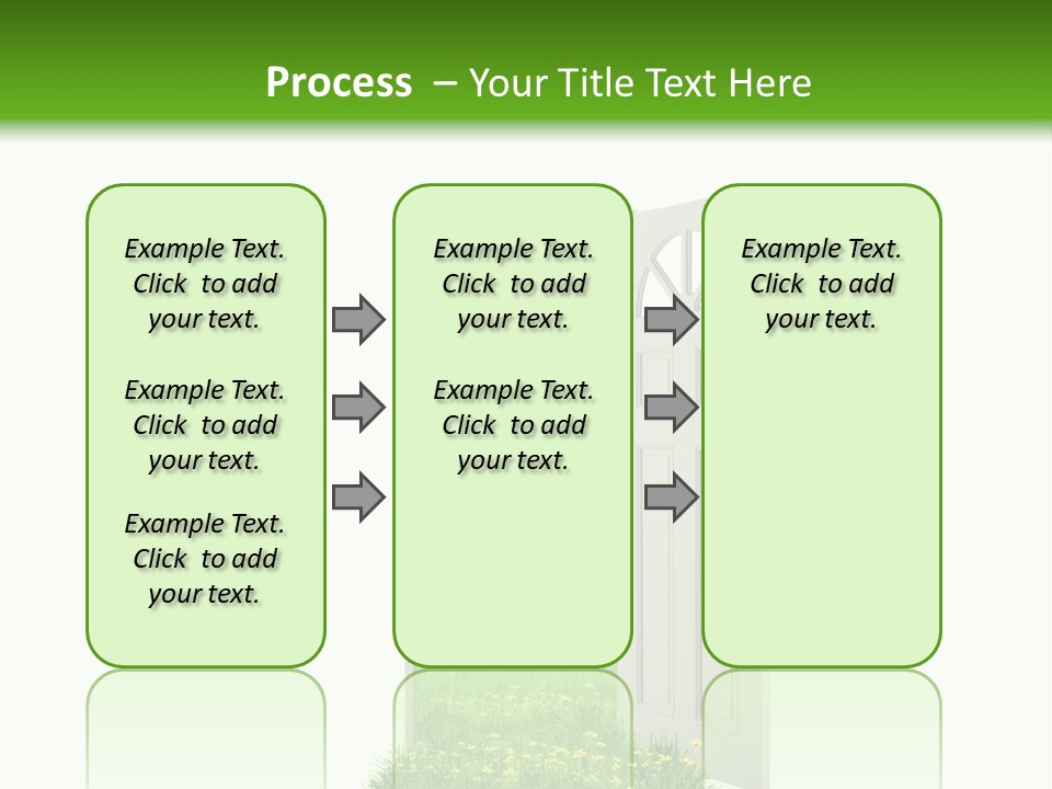 Amazing Cetonia Collection Cetonia Aurata Pisana PowerPoint Template