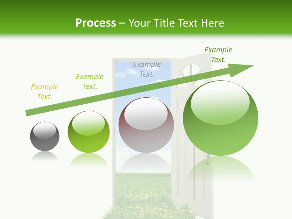 Amazing Cetonia Collection Cetonia Aurata Pisana PowerPoint Template