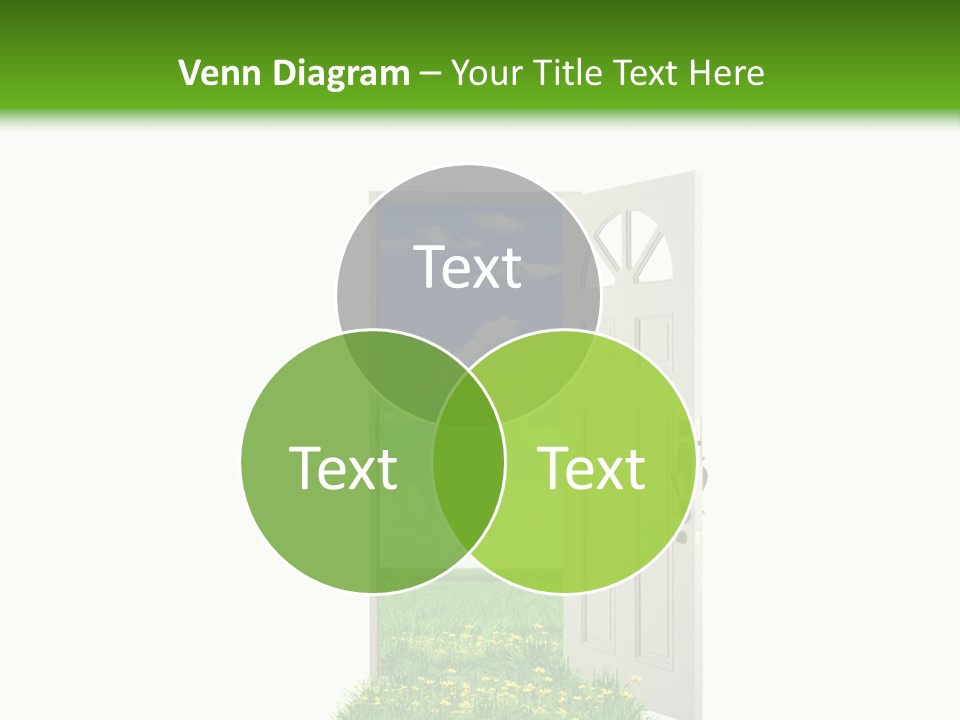 Amazing Cetonia Collection Cetonia Aurata Pisana PowerPoint Template