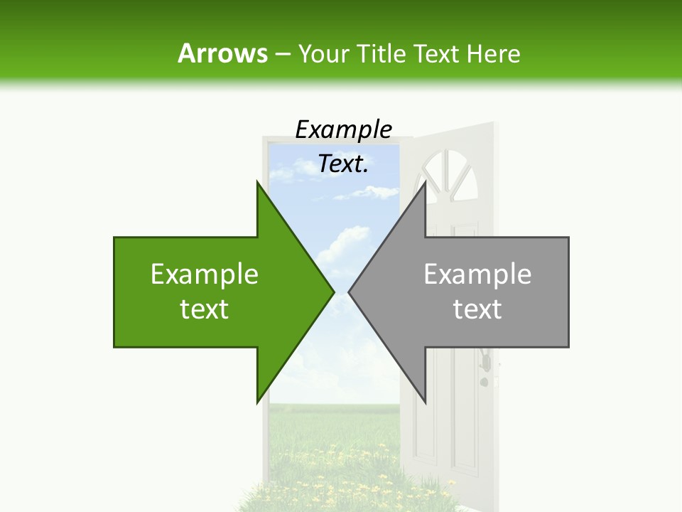 Amazing Cetonia Collection Cetonia Aurata Pisana PowerPoint Template