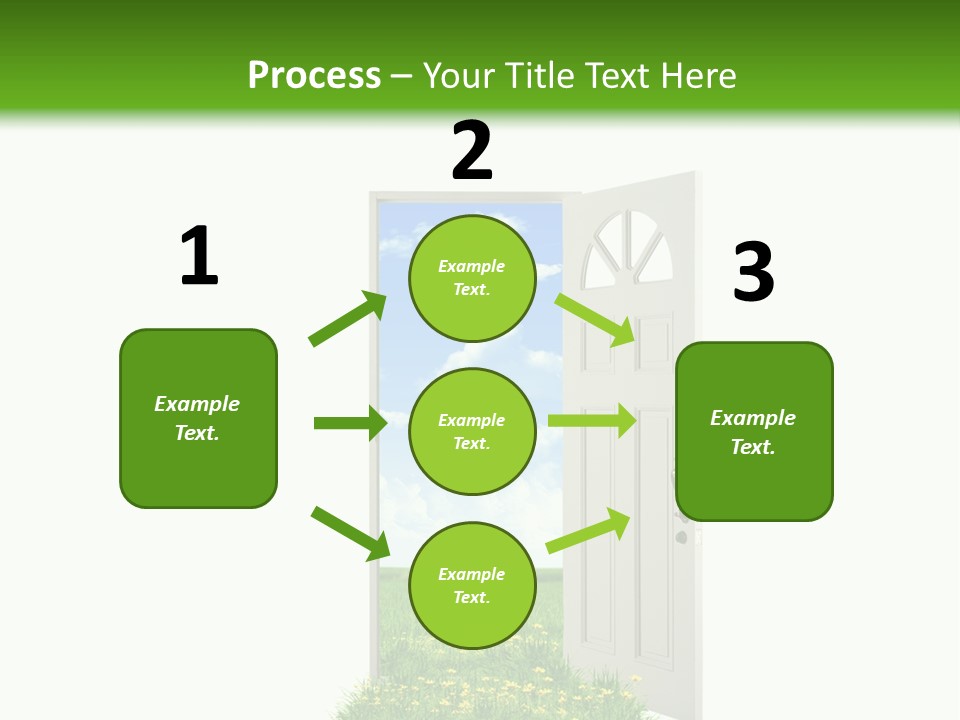 Amazing Cetonia Collection Cetonia Aurata Pisana PowerPoint Template