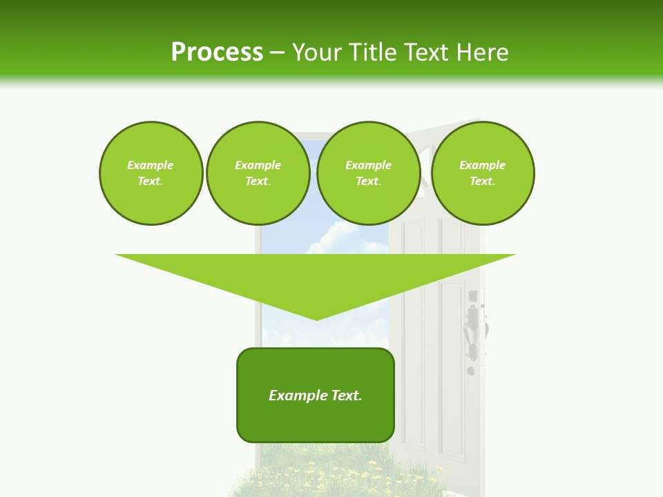 Amazing Cetonia Collection Cetonia Aurata Pisana PowerPoint Template