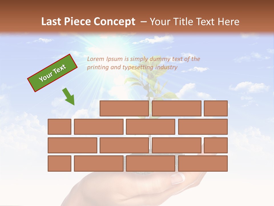 Light Pa Enger Airplane PowerPoint Template