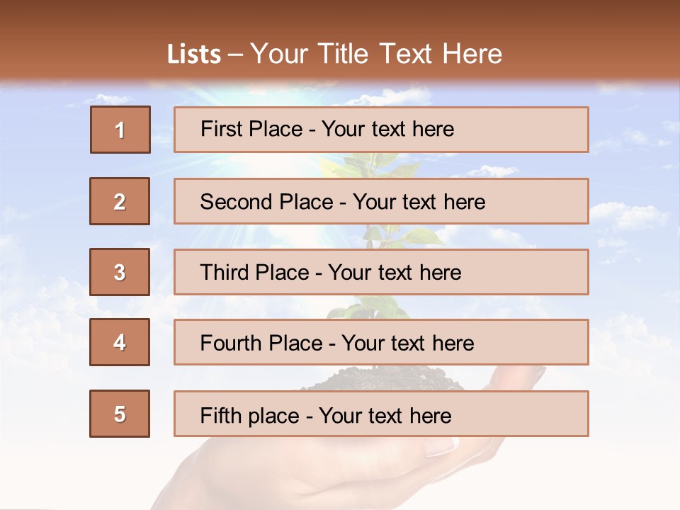 Light Pa Enger Airplane PowerPoint Template