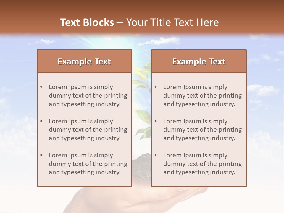Light Pa Enger Airplane PowerPoint Template