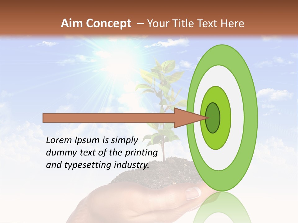 Light Pa Enger Airplane PowerPoint Template