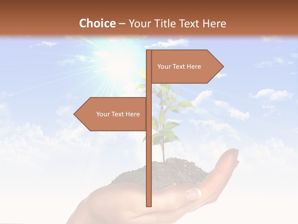 Light Pa Enger Airplane PowerPoint Template