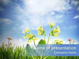 Nature Flower Yellow PowerPoint Template