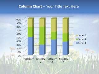 Nature Flower Yellow PowerPoint Template