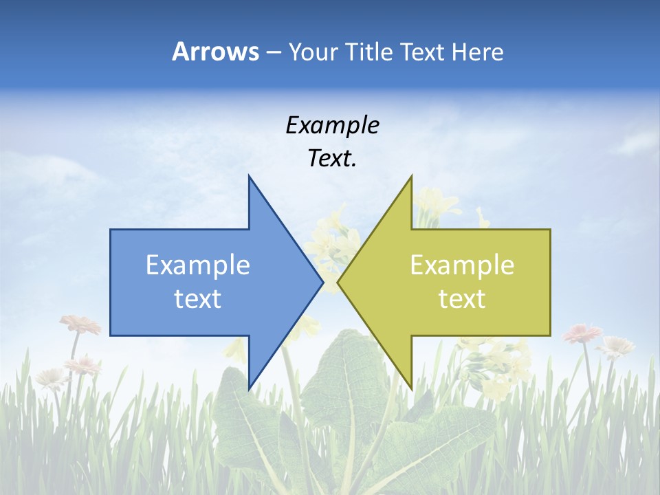 Nature Flower Yellow PowerPoint Template