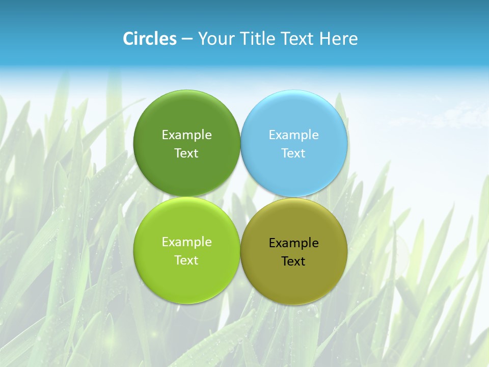 Day Wheat Grow PowerPoint Template