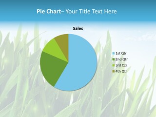 Day Wheat Grow PowerPoint Template
