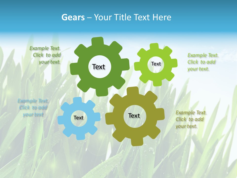 Day Wheat Grow PowerPoint Template