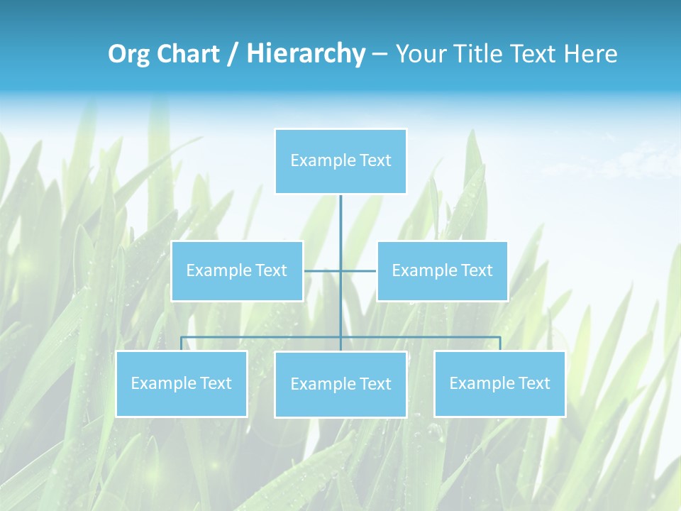 Day Wheat Grow PowerPoint Template