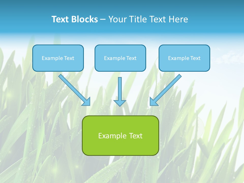 Day Wheat Grow PowerPoint Template